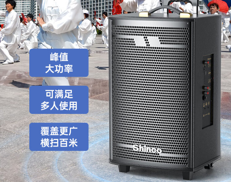 新科T30 广场舞音响户外拉杆音箱大功率家用K歌蓝牙移动大音量扩音器无线话筒摆摊低音炮 8吋无咪